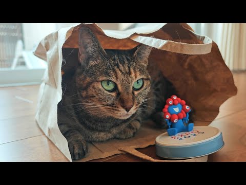 沖麻実也 リトグラフ「GALLANT CAT～PUMPKIN～」※即購入不可 I bought a lot of souvenirs from the Expo, but in the end
