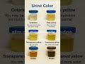 urine color #trending #nurse #ivinjection #medicine #hospital #viralvideo #viralshort #shortsfeed