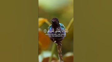 ما يبدل القول لدي وما انا بظلام للعبيد |عبد الباسط عبد الصمد كروما شاشة سوداء قرآن كريم #كرومات_قرآن