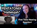 I Have Chills! PENTATONIX - Hallelujah Reaction - First Time Hearing!
