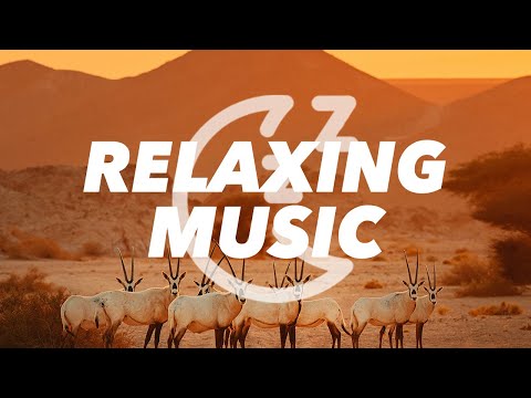 Soothing Meditation Music: Songs to Clear Your Mind!