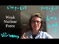 Understanding the Weak Nuclear Force