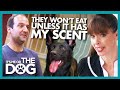 Owner Must Release His Total Control Over His Dogs | It's Me or The Dog