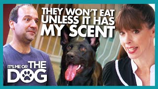 Owner Must Release His Total Control Over His Dogs | It's Me or The Dog