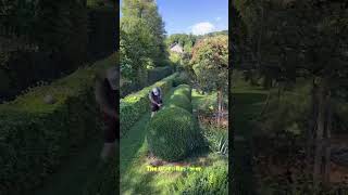 Blowing | Pressure Washing | Landscaping | Cutting | Edging #shorts #satisfying #gardening