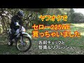 セロー225ＷＥ買っちゃったので、これからいろいろいじります。　ヤフオクでセロー225ＷＥ購入 ①