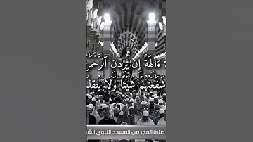 أخر آية من #سورة_البقرة | الشيخ/ د. #عبدالله_القرافي