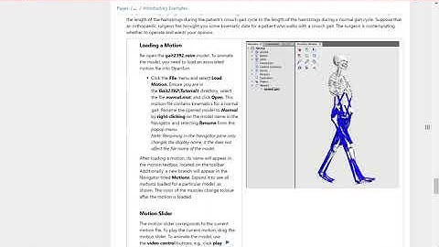OpenSim Software Plotting Graphs (Tutorial 1)
