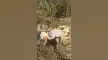 الله يعطيك العافيه علي الحلال زلمه لايك اكسبلور متابعه 