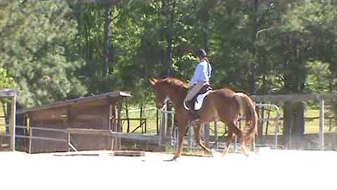 Who's on First owned and ridden by Susan Hopkins