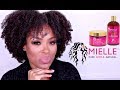 Mielle Organics Pomegranate and Honey Review