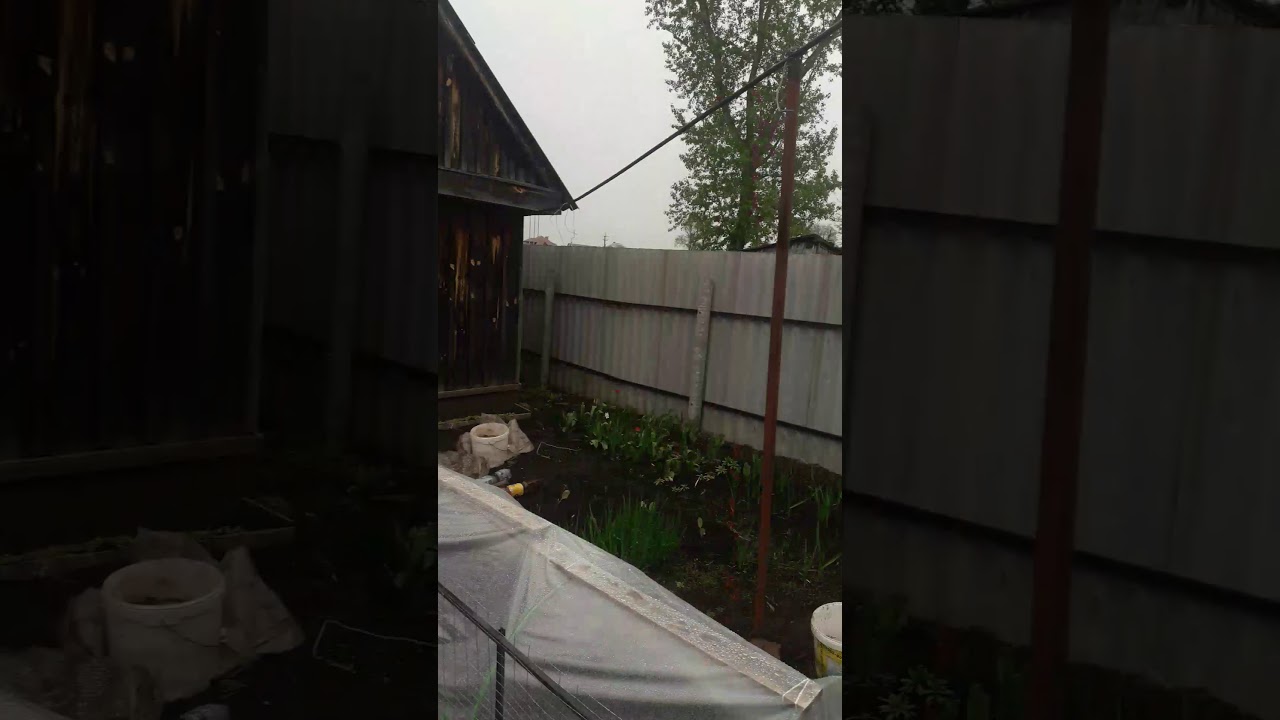 Бардак с осаго