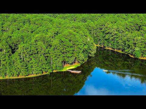 Seven Springs Ranch | 178.45 Acres | Anderson County, Texas Ranch For Sale