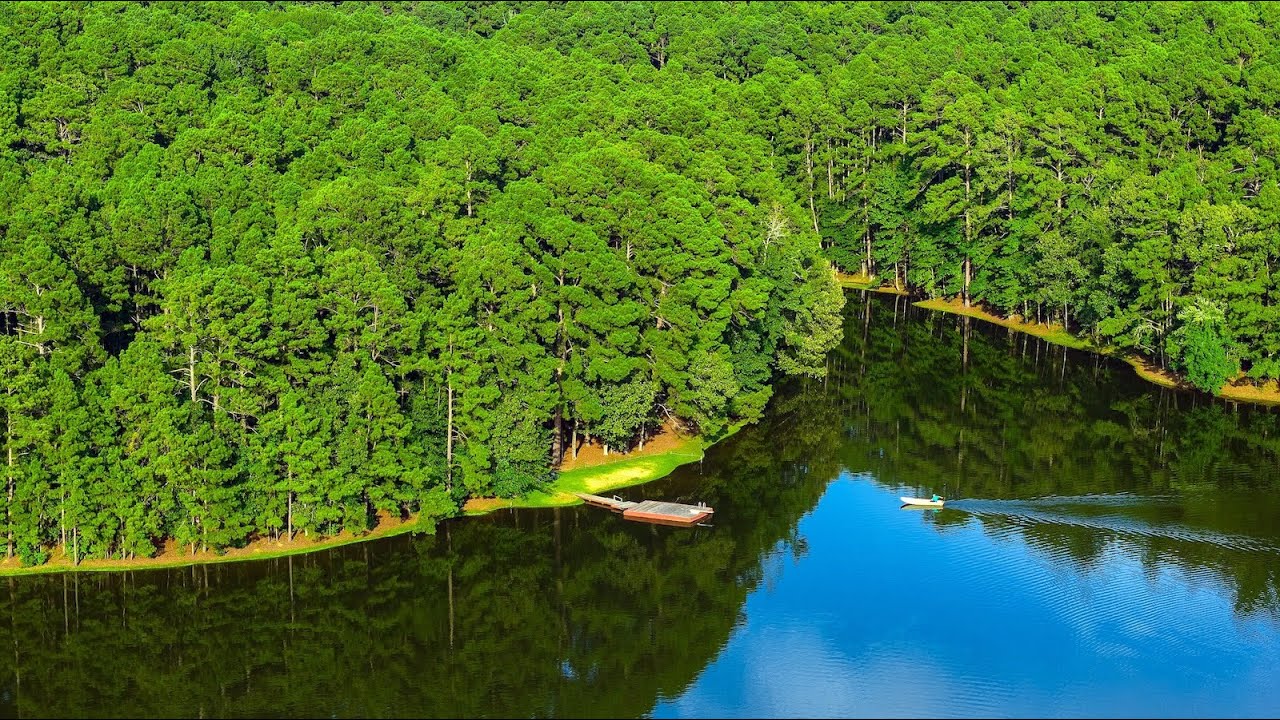 Seven Springs Ranch | 178.45 Acres | Anderson County, Texas Ranch For Sale