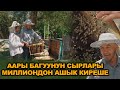 ААРЫ БАГУУ ДЫЙКАНЧАЛЫК МЕНЕН МАЛЧЫЛЫККА КАРАГАНДА ЖЕҢИЛ БИЗНЕС...