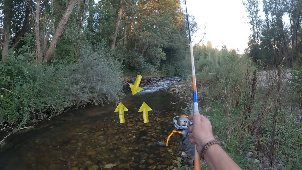 Increíble tantos peces en un sereno de agosto | Temporada Pesca 2023