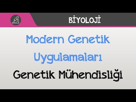 Modern Genetik Uygulamaları - Genetik Mühendisliği