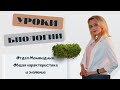 Отдел Моховидные  Общая характеристика и значение