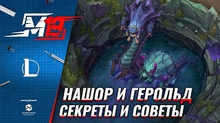 Нашор и Герольд – Секреты и Советы | Лига Легенд