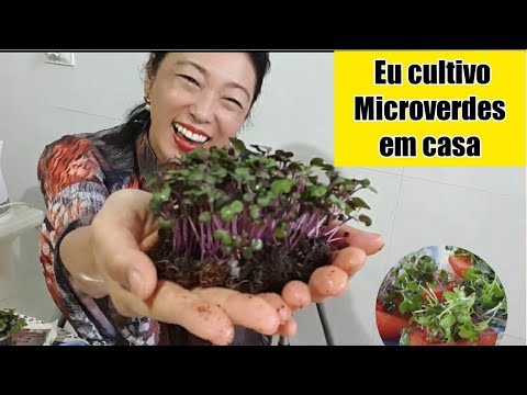 Vídeo: Os brotos devem ser cultivados no escuro?