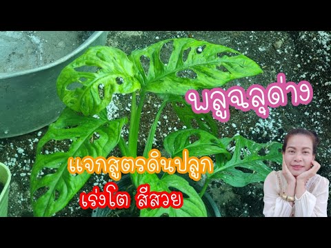 ผลสลากกินแบ่งรัฐบาล วันที่ 1 พย. 2567 ผลสลากกินแบ่งรัฐบาล วันที่ 1 พย. 2567