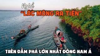 Nghề "Lắc Mông Ra Tiền" trên Phá Tam Giang lớn nhất Đông Nam Á | DU LỊCH HUẾ