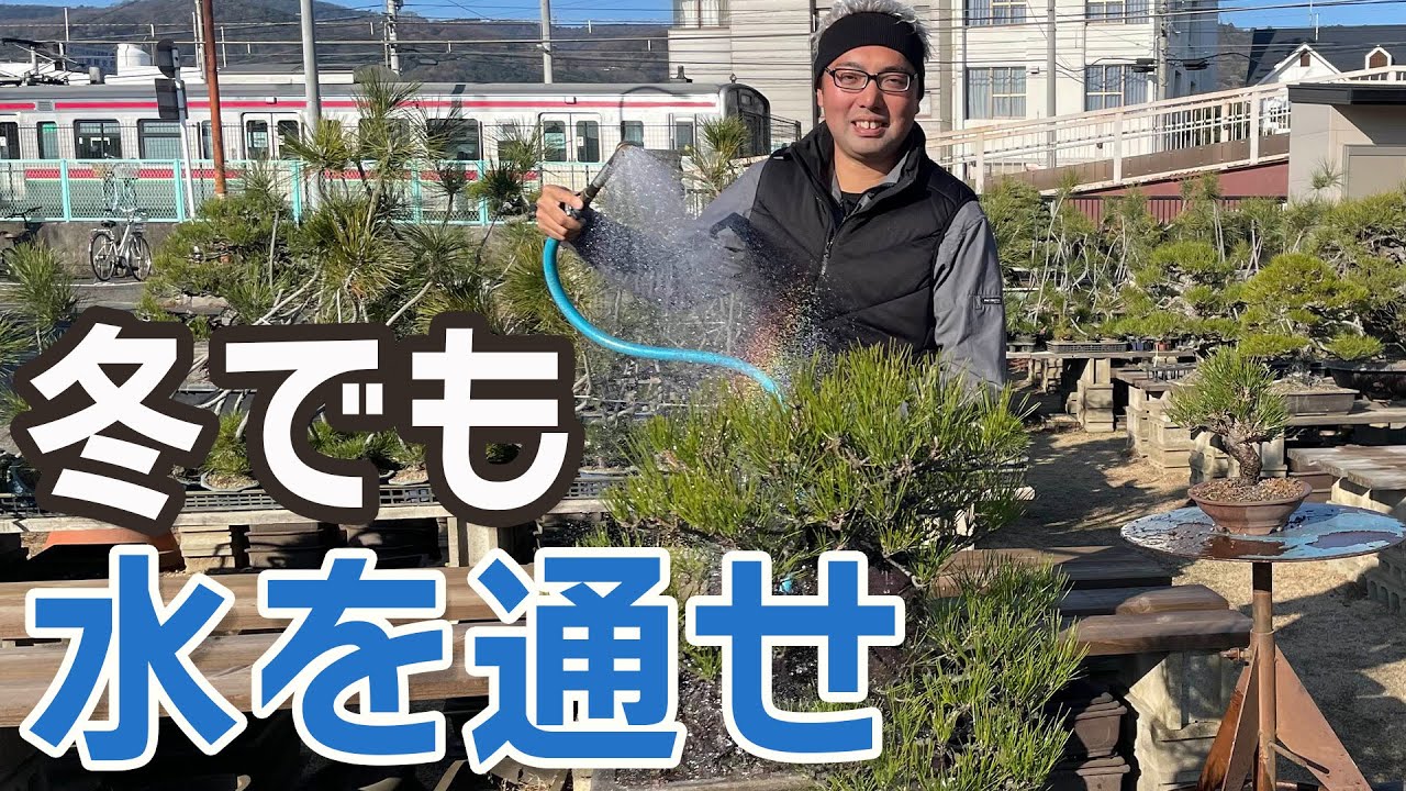 Winter Watering for Beginners｜Is “Only When Dry” Really Enough