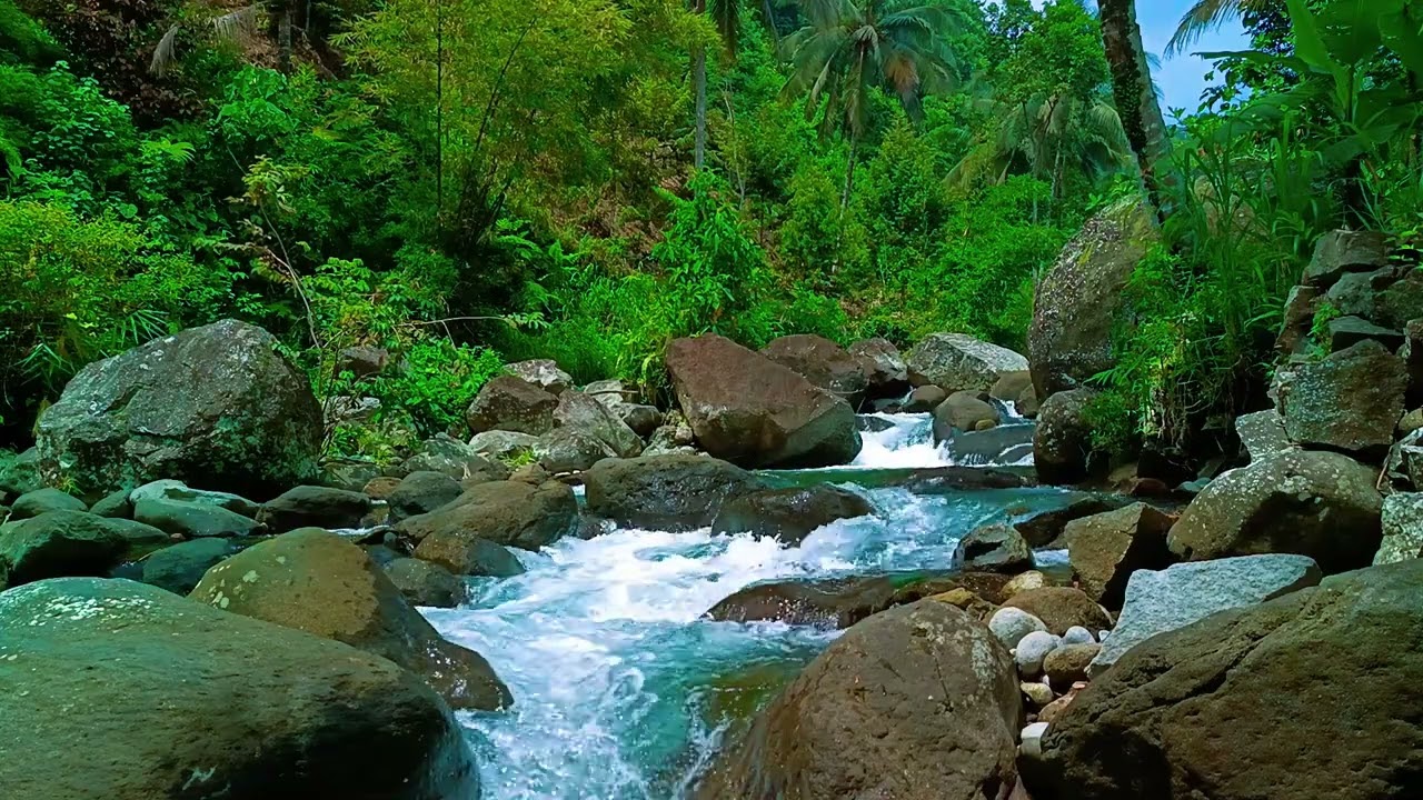 Relax Your Mind with HD Tranquil ASMR Running River Water All Night Long