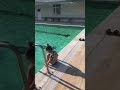 Bigadiç tatil