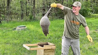 How to catch armadillos