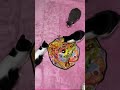キャッチミーイフユーキャン2を買ってみた【保護猫】