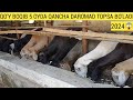 UY SHAROITIDA QO Y BOQIB 5 OYDA QANCHA DAROMAD QILSA BO LADI 2024 UY SHAROITIDA QO Y BOQIB 5 OYDA QANCHA DAROMAD QILSA BO LADI 2024