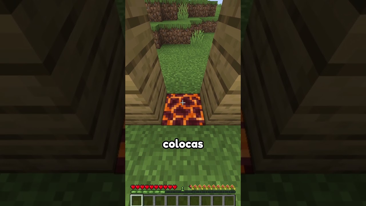 La puerta invisible en Minecraft