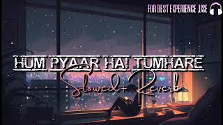 Hum Pyaar Hai Tumhare 💞 Slowed & Reverb 💞 Udit Narayan old Bollywood Lofi song #slowed #lofi #90s