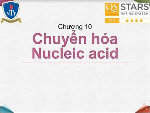 Video: Làm thế nào để bạn tạo ra nước miễn phí nuclease?