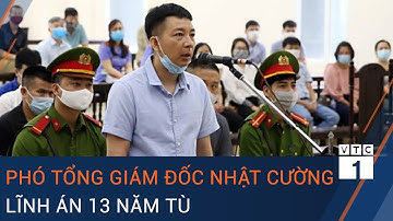 Cập nhật xét xử vụ Nhật Cường: Phó Tổng Giám đốc Trần Ngọc Ánh lĩnh án 13 năm tù