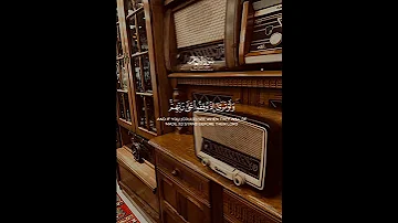 سورة الأنعام الآية 29 30 القارئ محمد أيوب 
