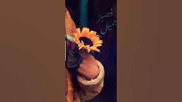 تلاوة هادئة من سورة"النحل"|بصوت الشيخ"عبدالرحمن مسعد"|راحة🤍🌻