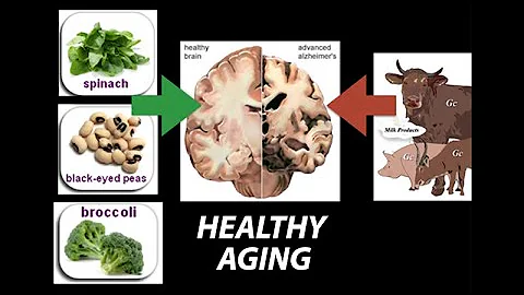 Healthy, (Nutrient) Wealthy and Wise: Diet for Healthy Aging - Research on Aging - DayDayNews