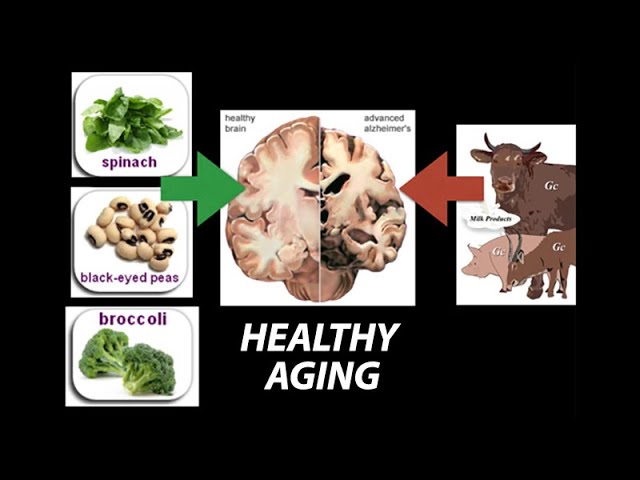 Healthy, (Nutrient) Wealthy and Wise: Diet for Healthy Aging - Research on Aging class=