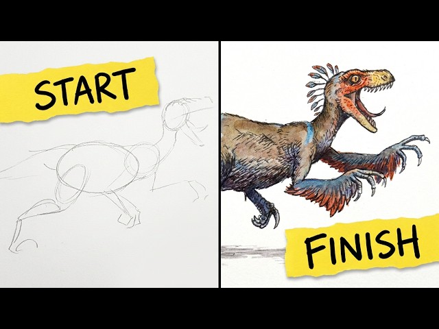 How To Draw A Raptor Bird