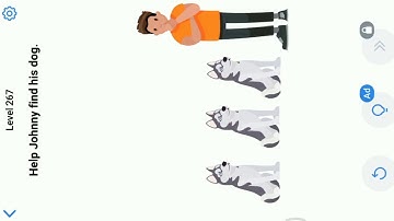 Easy Game Level 267 || Help Johnny Find His Dog.