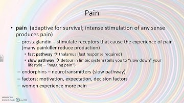 Sensation and Perception AP Psychology unit 3 part 6 Mrs. Bauers flipped video notes