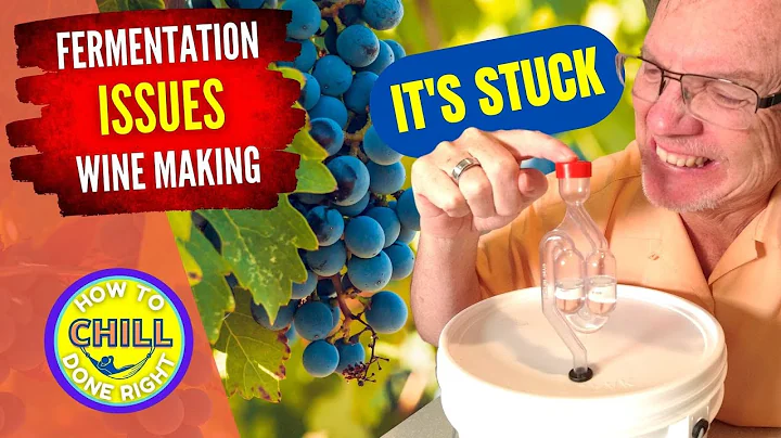 Problemas com Fermentação de Vinho? Descubra as Soluções!