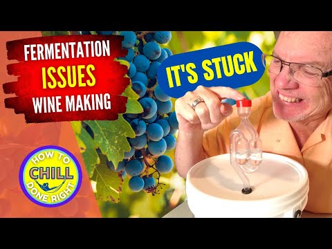Video: Hvorfor giver mine tranebær ikke frugt: Rettelser til en tranebærvin uden frugt