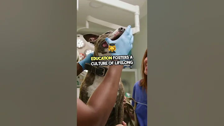 Ensuring Staff Competency and Training