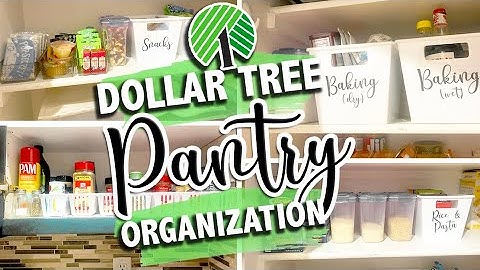 DOLLAR TREE PANTRY ORGANIZATION | Clean & Organize with Me | Organize on a Budget | The Carnahan Fam