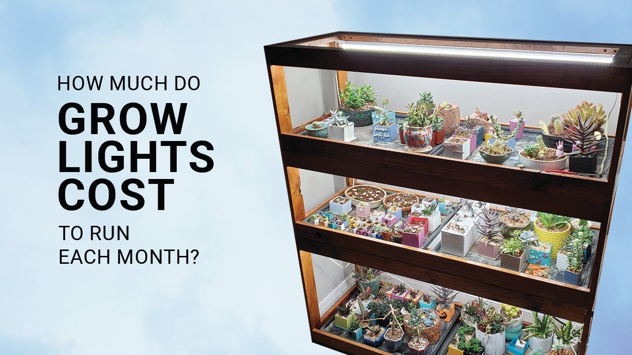 How Much Does It Cost To Run Grow Lights YouTube How Much Does It Cost To Run Grow Lights YouTube