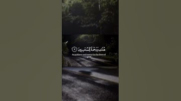 ألم تلك أيات الكتاب الحكيم_سورة لقمان/#ياسر_الدوسري #قرآن_كريم #القرآن_الكريم #اكسبلور #سورة_لقمان