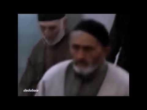 კადრი ფილმიდან ნატვრის ხე